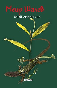 06_shalev.jpg